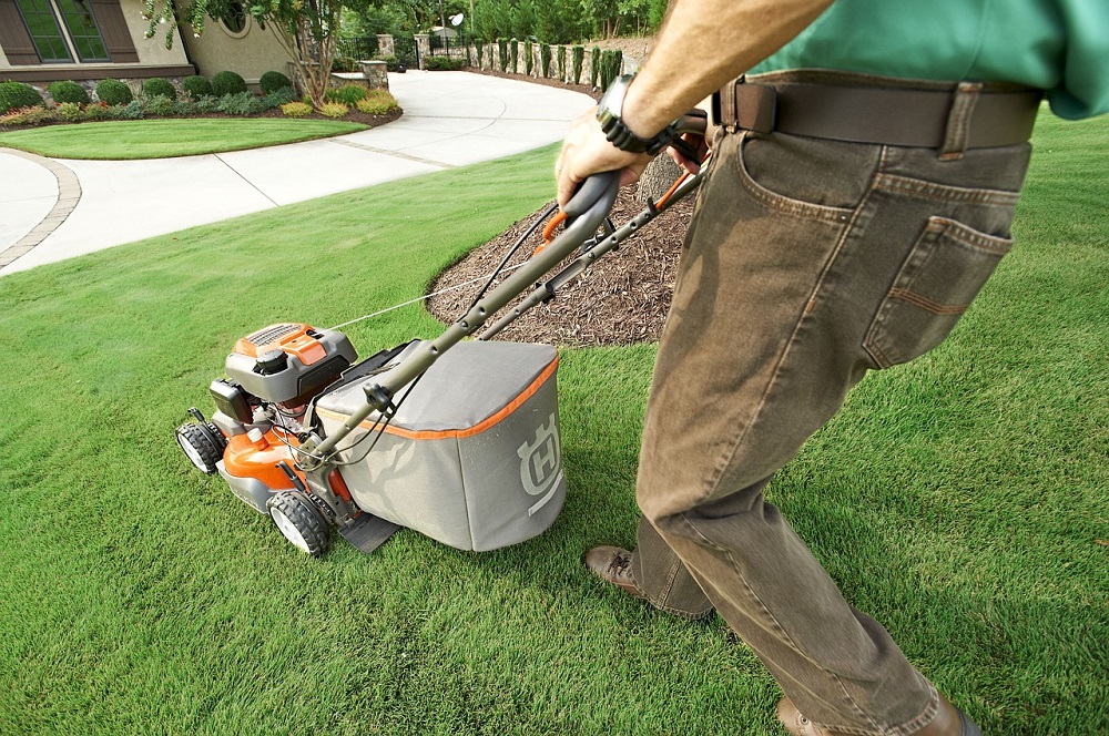 Landscaping Maintenance