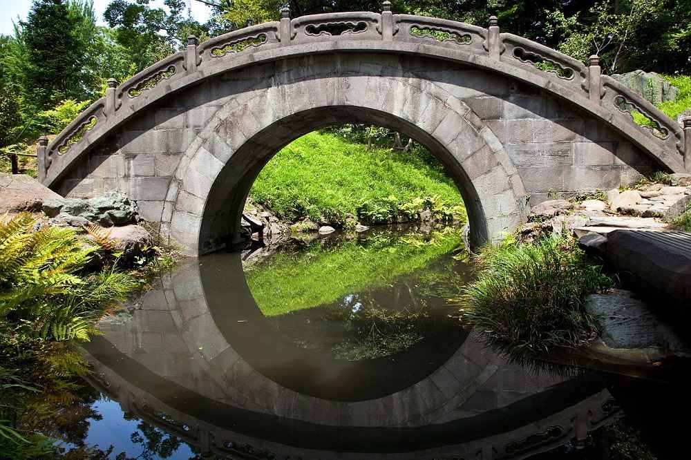 Garden Pond