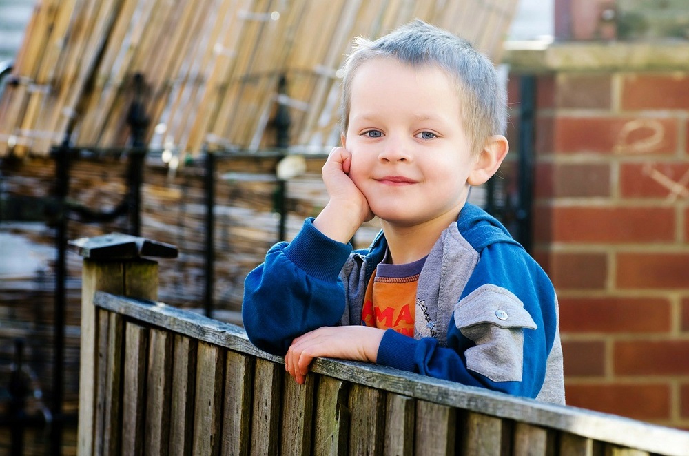 Play Yard Fence