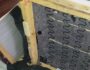 Sofa Repair