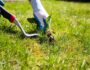 Get Rid of Weeds
