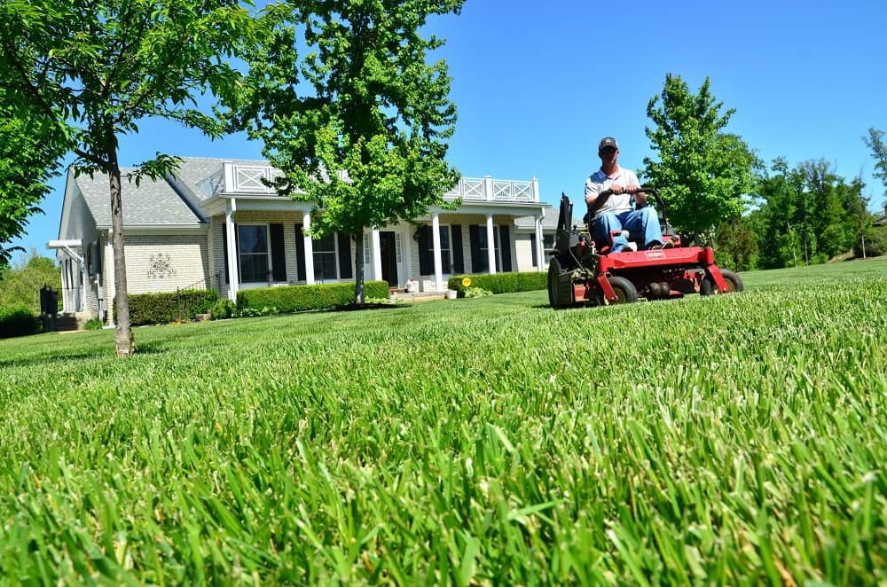 lawn care
