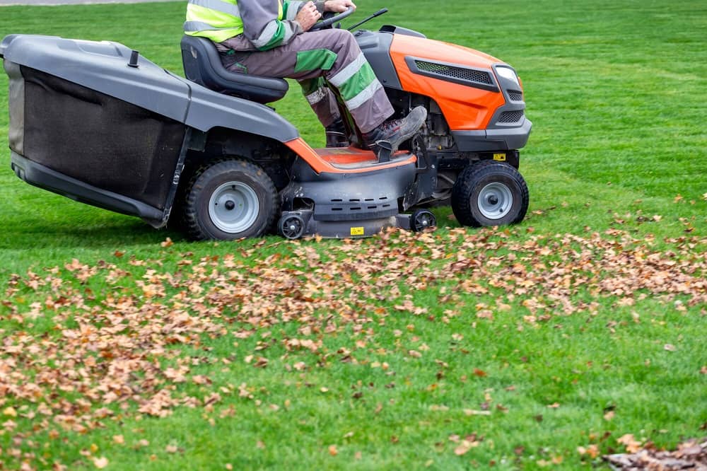 take care of yard